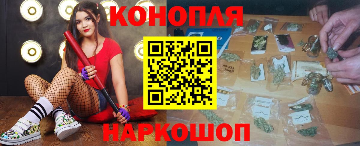 Бошки Шишки планчик Новотроицк